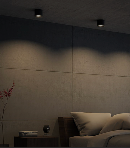 SURFACE MOUNTED LIGHTS